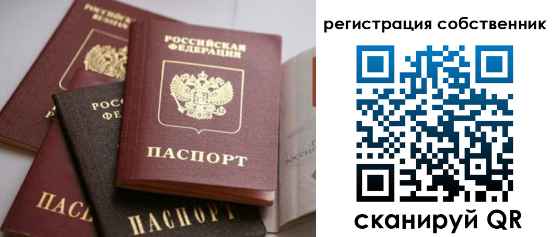 временная регистрация поиск в Каргате